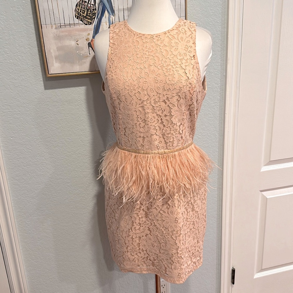 Revolve • Endless Rose Lace Feather Peplum Dress in Nude Pink • Sz L